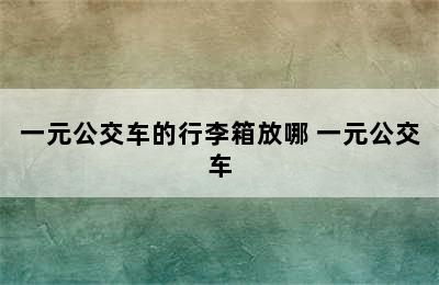 一元公交车的行李箱放哪 一元公交车